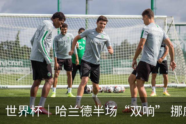 世界杯｜哈兰德半场“双响” 挪威4:1大胜伊拉克